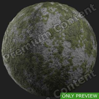 PBR ground concrete mossy preview 0001